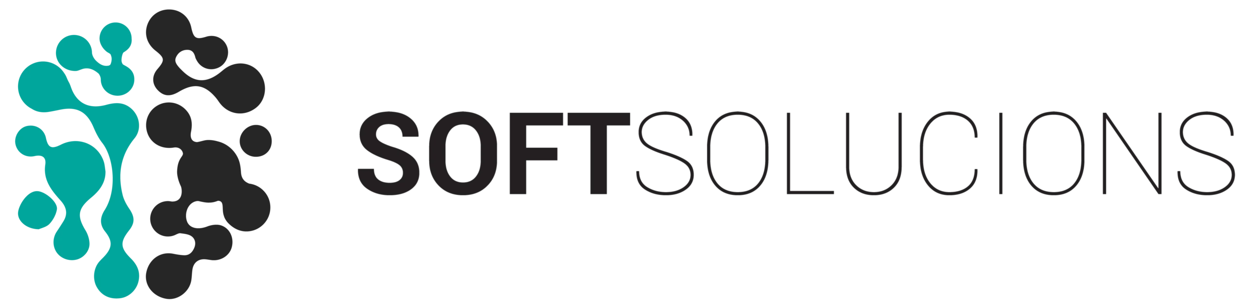 logo-softsolucions