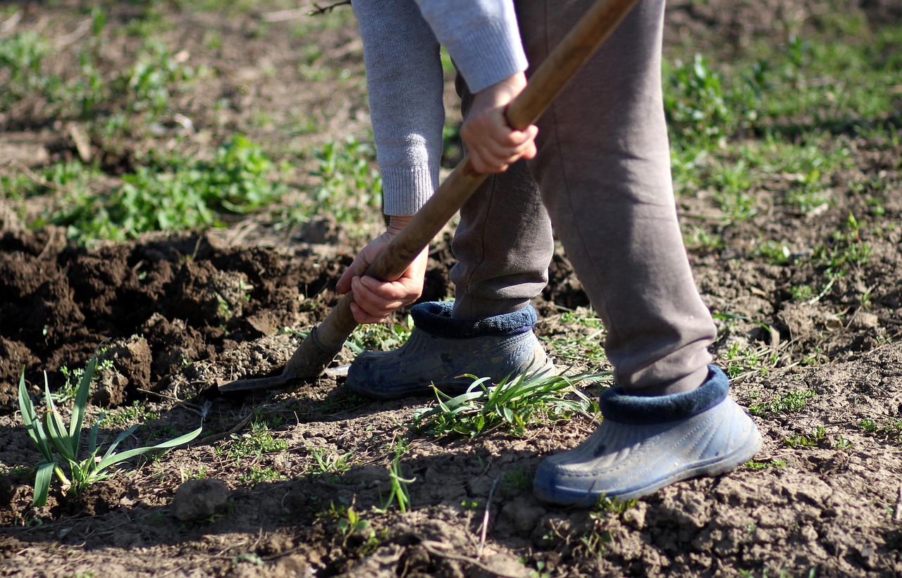 manos cogiendo tierra de un campo de cultivo