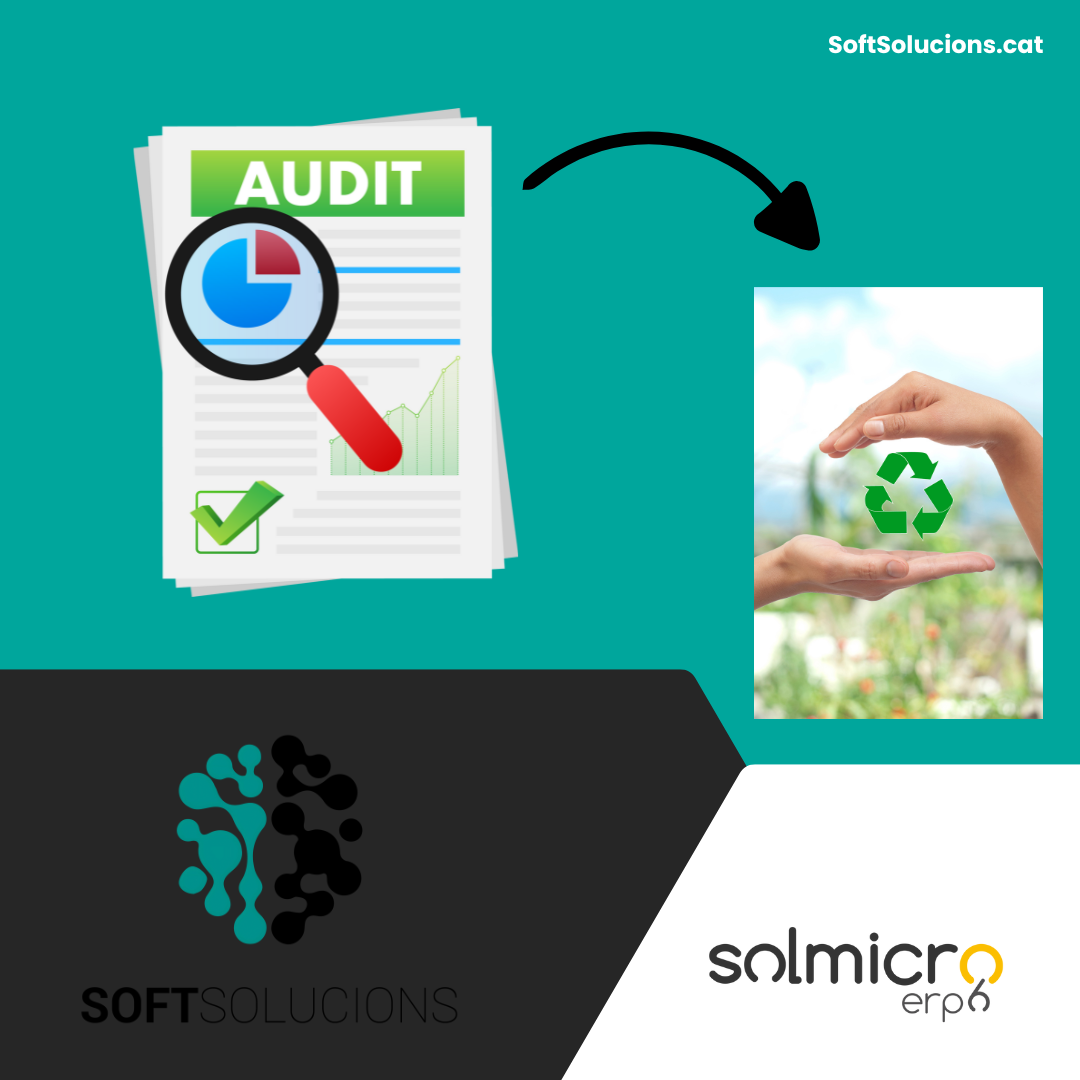 infografia de auditoria softsolutions