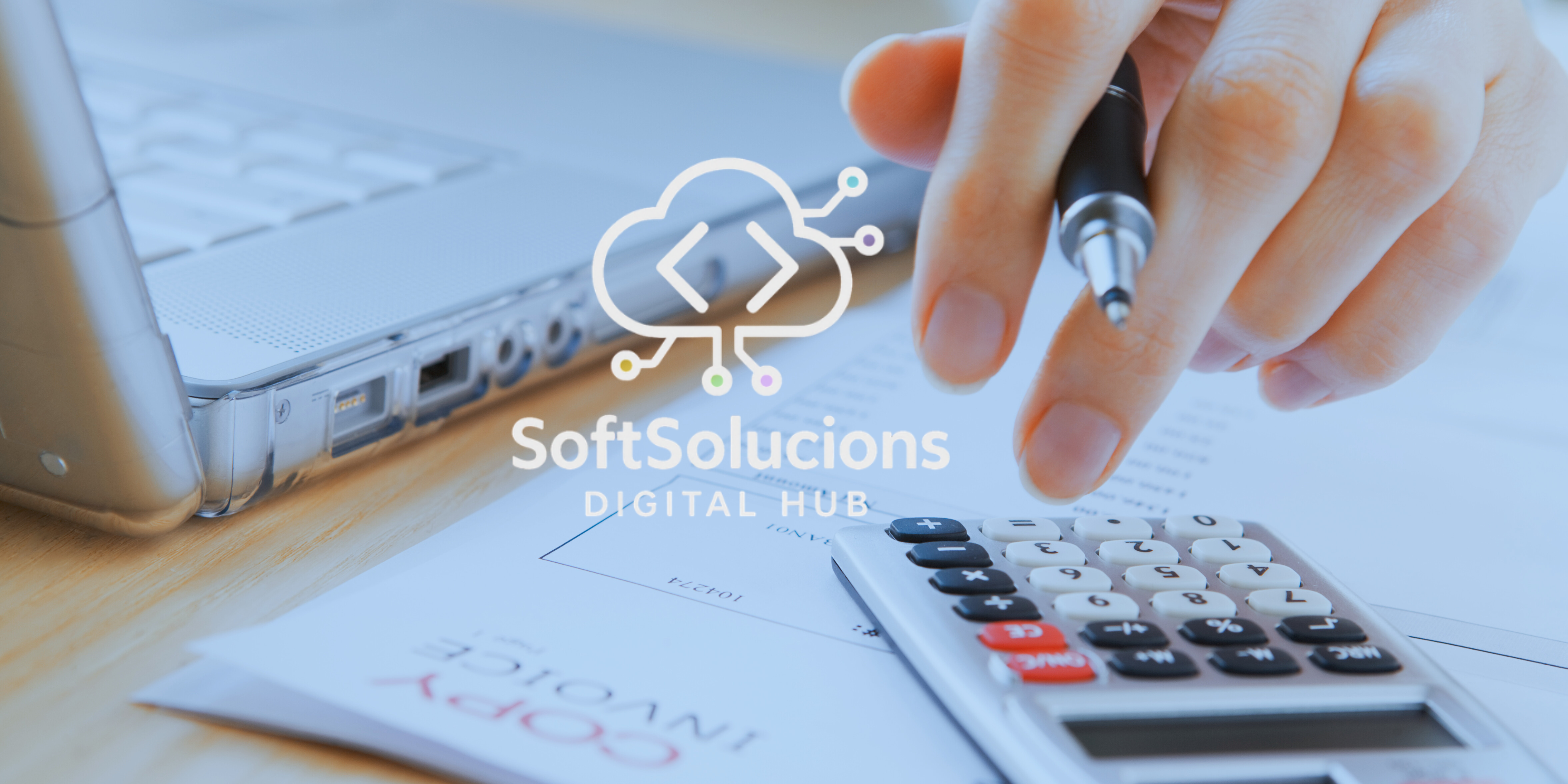contable softsolution